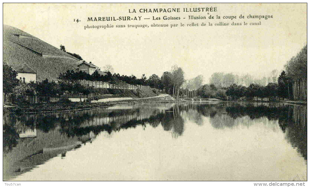 MAREUIL SUR AY  - MARNE  - (51) - PEU COURANTE CPA. - Mareuil-sur-Ay