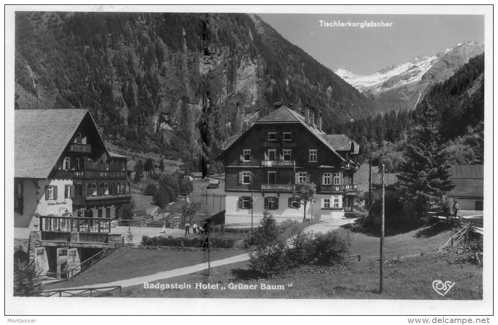 BADGASTEIN. Hotel GRUNER BAUM. Vg. C/fr. Per GORIZIA 1950. - Bad Gastein