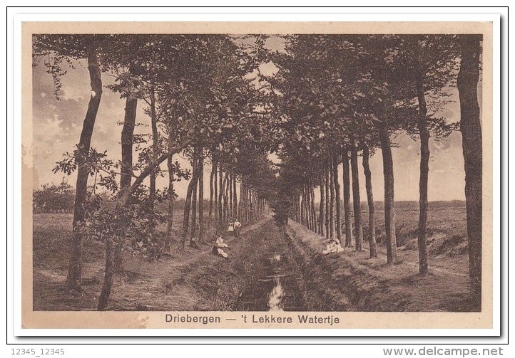 Driebergen, 't Lekkere Watertje - Driebergen – Rijsenburg