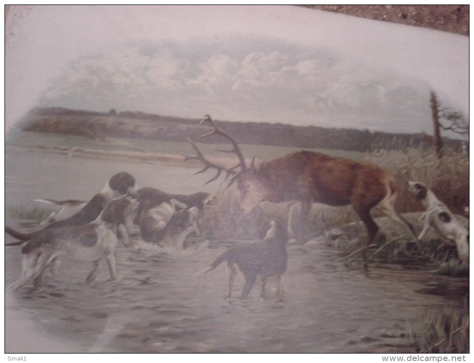 Lithographie JAGD HUNT JAGDHUND ROTWILD  DIMEN.51 Cm X 39 Cm DER ALTE ZEITEN - Sports