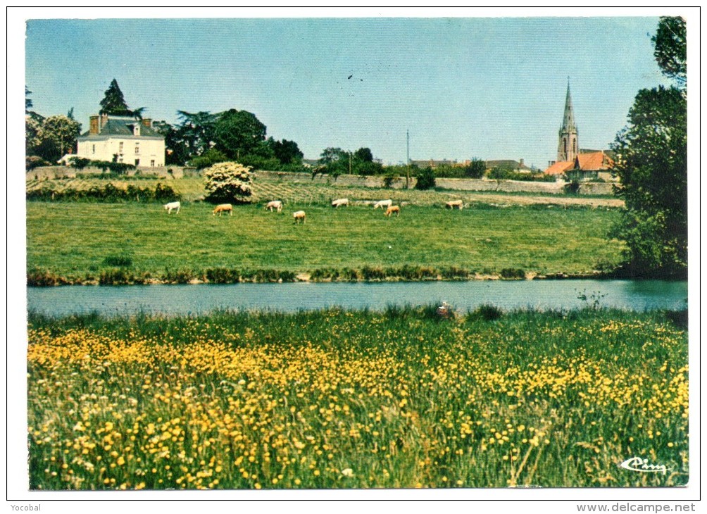 CP, 44, AIGREFEUILLE SUR MAINE, Aspect Champêtre Du Bourg, écrite, Voyagé En 1986 - Aigrefeuille-sur-Maine