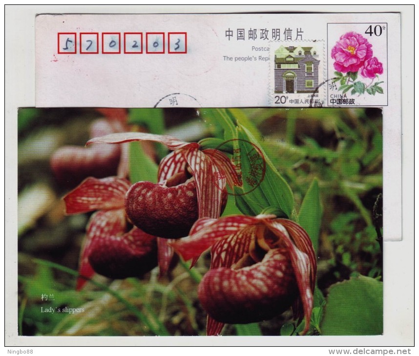 Lady´s Slippers Orchid,China 1999 Yunnan Rare Orchid Flower Postal Stationery Card - Orchids