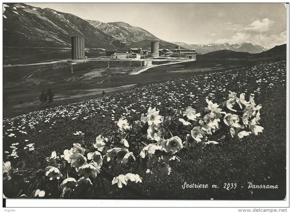 TO106 - SESTRIERE - TORINO - F.G. VIAGGIATA 1952 - Multi-vues, Vues Panoramiques