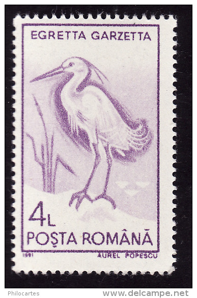 Aigrette Garzette   - Roumanie - Storks & Long-legged Wading Birds