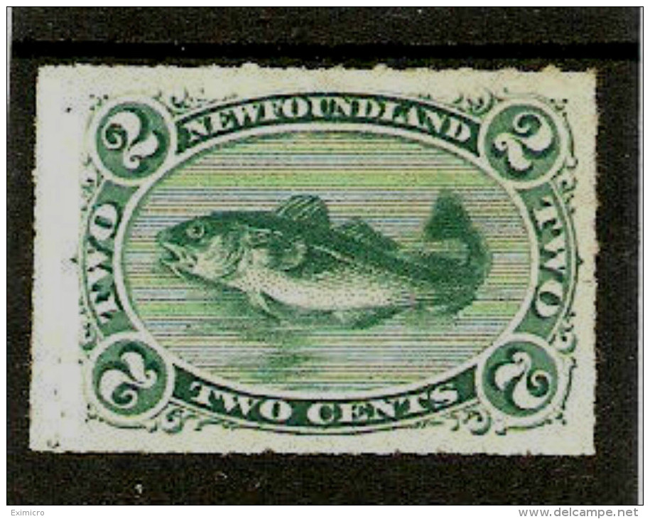 NEWFOUNDLAND 1879 2c  SG 41 MINT NO GUM Cat £160 ROULETTED PERF. - 1865-1902