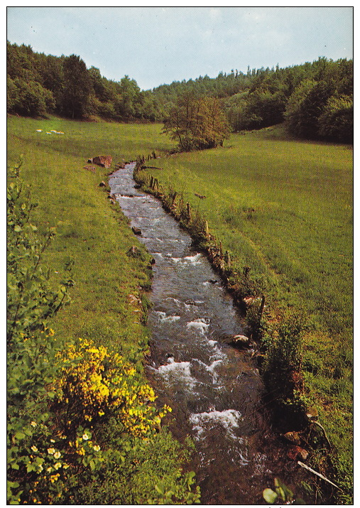 De Ardennen  6 Kaarten - Autres & Non Classés