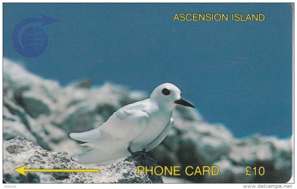 ASCENSION ISL.(GPT) - Fairy Tern, CN : 3CASB/B(normal 0), Tirage 5000, Used - Islas Ascensión