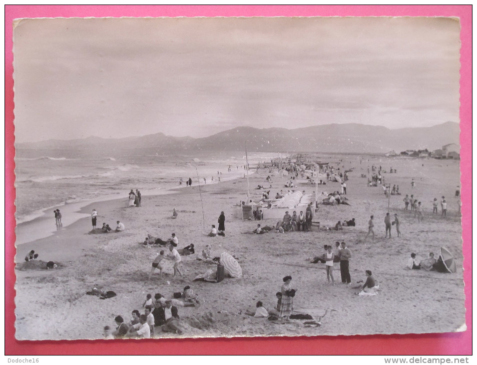 CANET PLAGE - La Plage - Canet En Roussillon