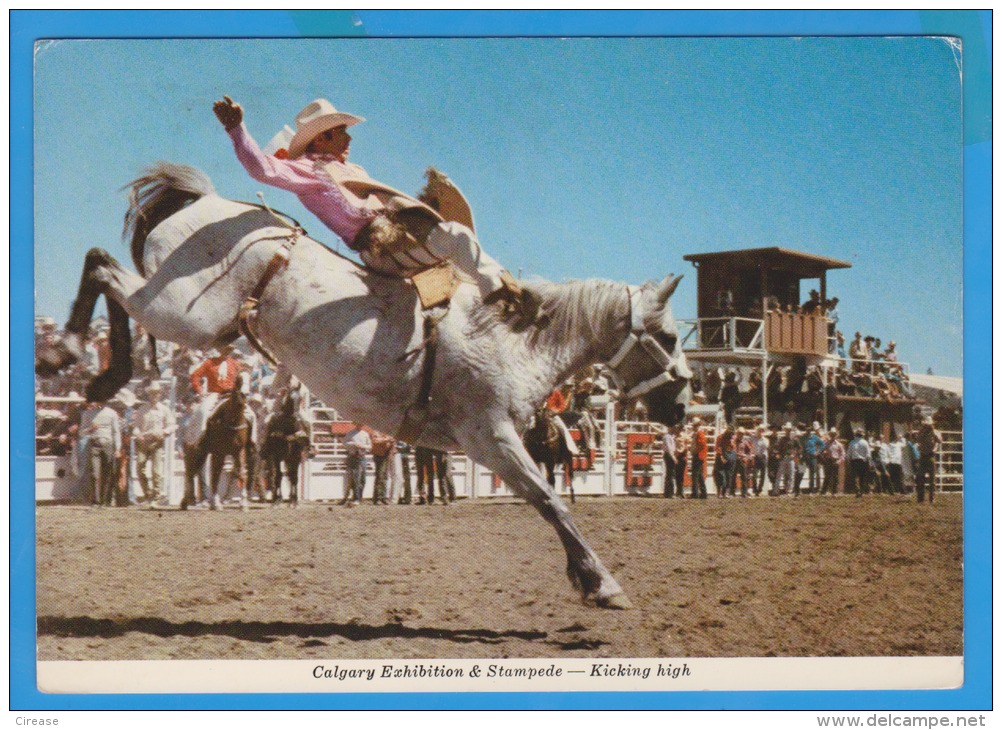 CANADA CALGARY RODEO HORSES POSTCARD SENT ROMANIA PAR AVION - Calgary