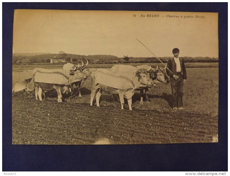 En BEARN  Charrue à Quatre Boeufs - Bearn