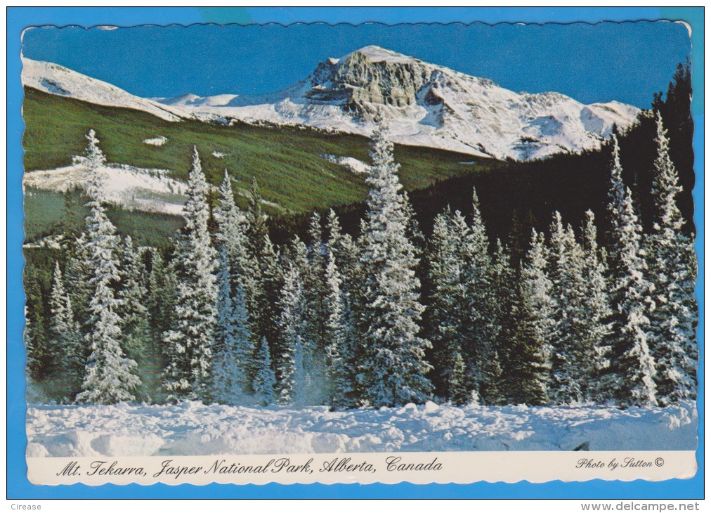 CANADA MT. TEKARRA JASPER NATIONAL PARK POSTCARD SENT ROMANIA PAR AVION - Jasper