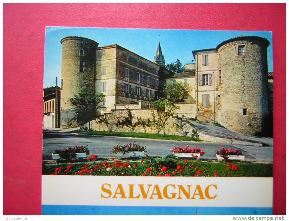 CPM 81  SALVAGNAC   MULTI VUES   VOYAGEE 1987 - Salvagnac