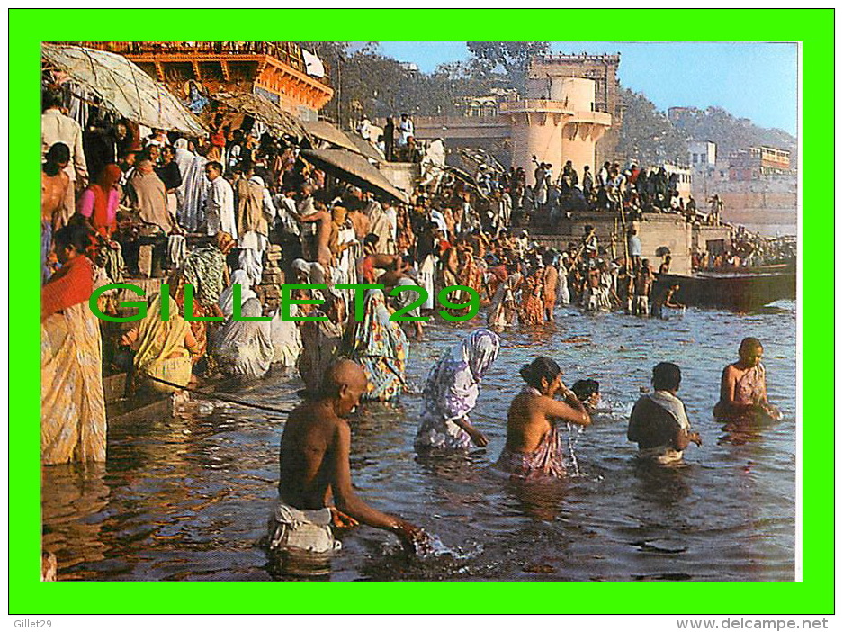 INDIA - GHATS IN VARANASI - LADIES &amp; MEN TAKING HOLY DIPS INTO THE HOLY WATER OF GANGA - INDICA CARDS - - Inde