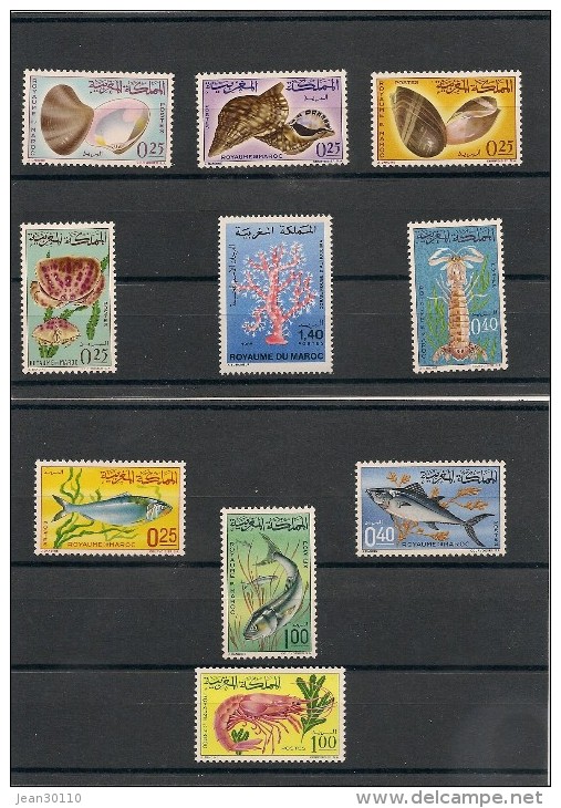 MAROC  Faune Marine Années 1965-67-82   N° Y/T : 488/493-514/516-935**  Côte :15,00 € - Maroc (1956-...)