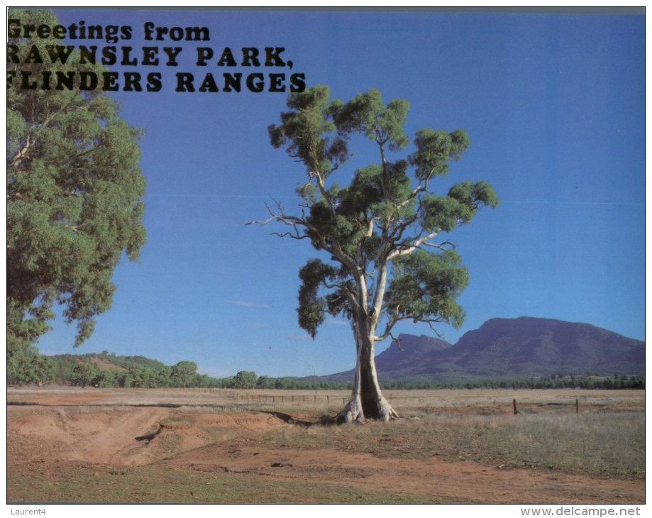 (799) Australia - SA - Rawnsley Park - Flinders Ranges