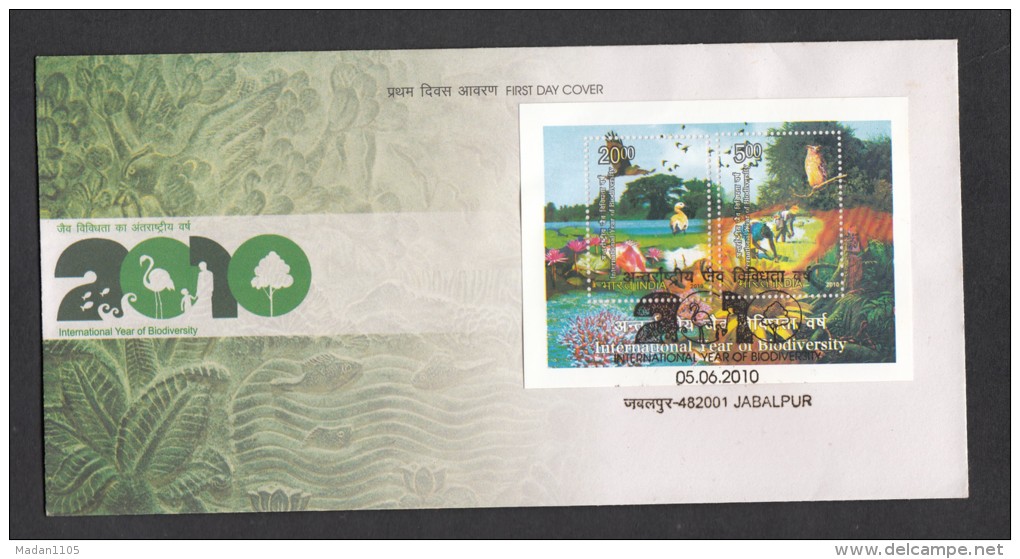 INDIA, 2010,  FDC,  Bio Diversity, Biodiversity,  Miniature Sheet,   Jabalpur  Cancellation - FDC