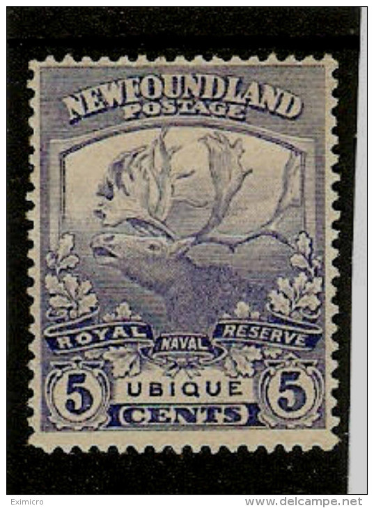 NEWFOUNDLAND 1919 5c   SG 134  MINT  NO GUM Cat £17 - 1908-1947