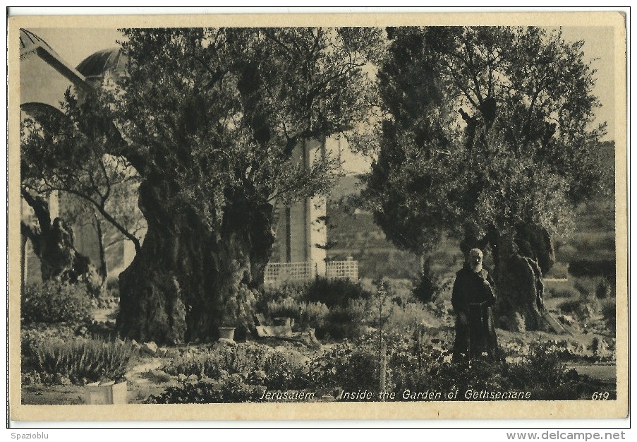 U.P.U. - Post Card Palestine Israele - Jerusalem  "Inside The Garden Of Gethsemane"  No Sent. - Israele