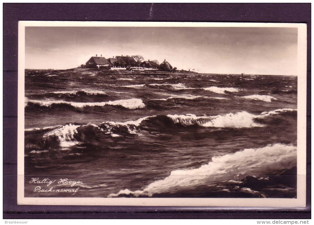 AK : Hallig Hooge -Backenswarf - Karte Nicht Gel. Ca. 1930/1940 - Halligen