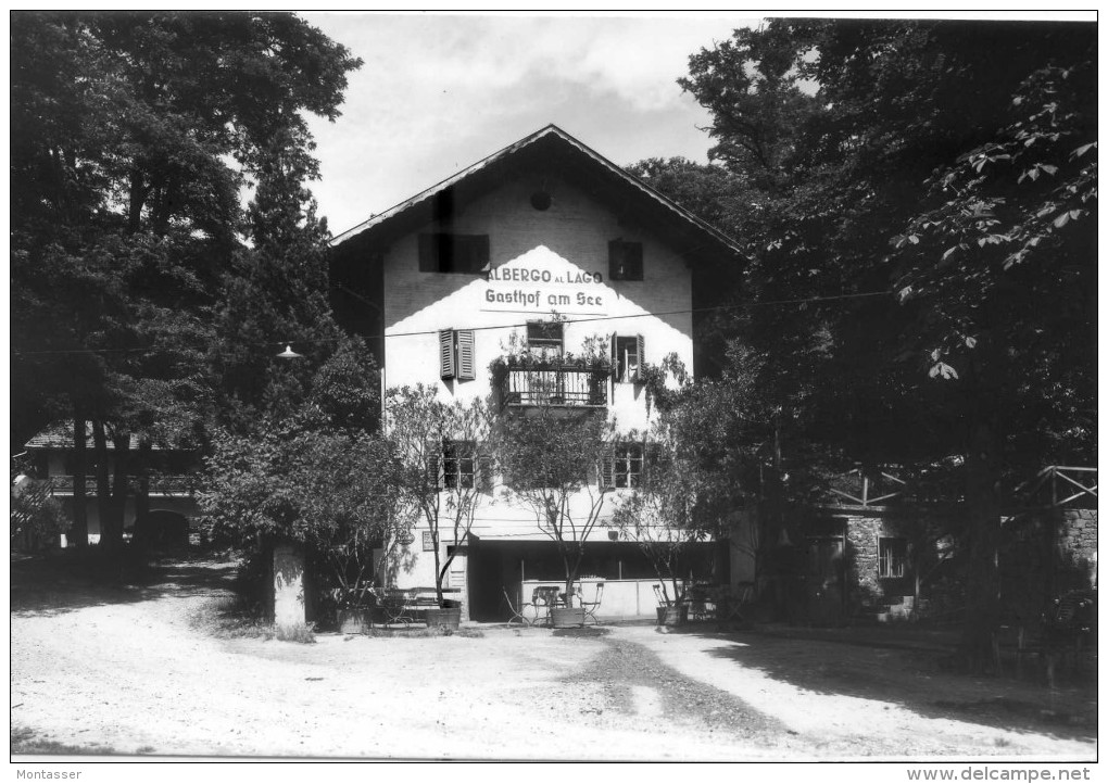 BOLZANO. Albergo Al Lago Di MONTICOLO. Non Vg. - Bolzano (Bozen)