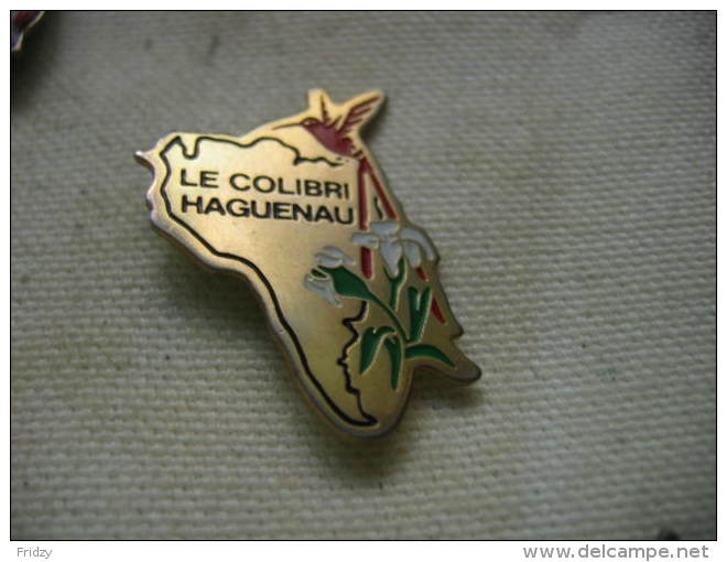 Pin´s Du Colibri "Cercle Ornithologique De Haguenau". - Animaux