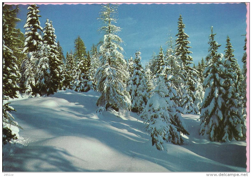 Happy New Year - Nature In Winter, 1971., Yugoslavia () - Anno Nuovo