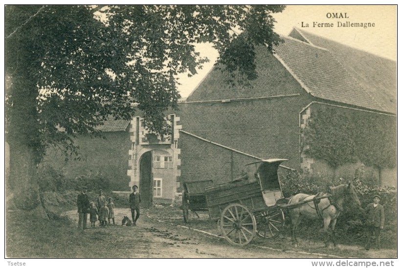 Omal - La Ferme Dallemagne - Attelage Agricole ( Voir Verso ) - Geer