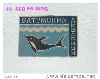 Animals: Dolphin - Batumi Aquarium / Old Soviet Badge_035_an3667 - Animals