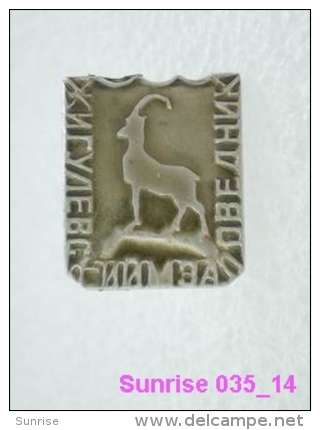 Animals: Chibouk - Mountain-goat - National Park Zhiguli / Old Soviet Badge_035_an3680 - Animali