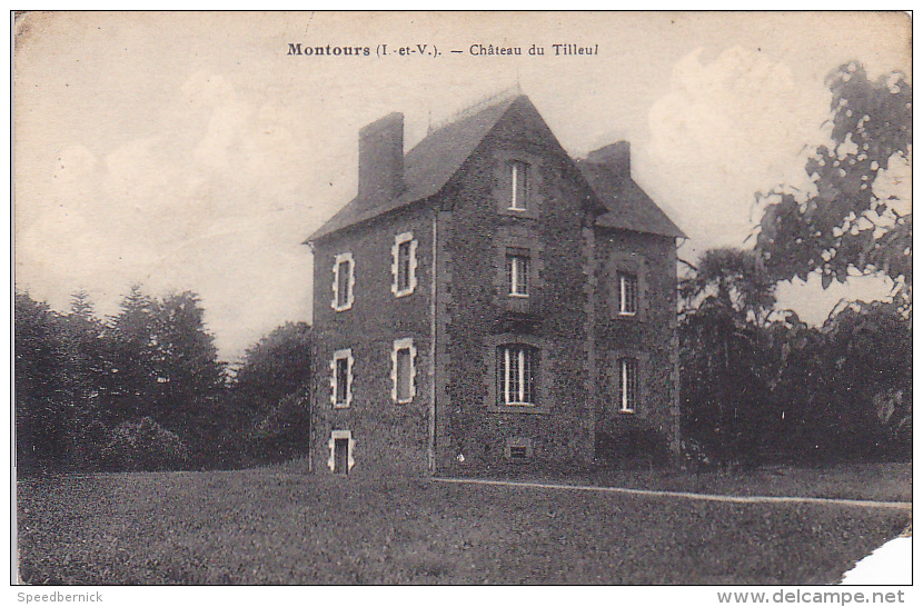 22384 MONTOURS - Château Du Tilleul  -sans éd; ! ETAT ! Petit Manque Au Coin Droit - Autres & Non Classés