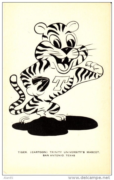 San Antonio TX Texas, Trinity University Mascot 'Tiger' Cartoon, C1950s Vintage Postcard - San Antonio