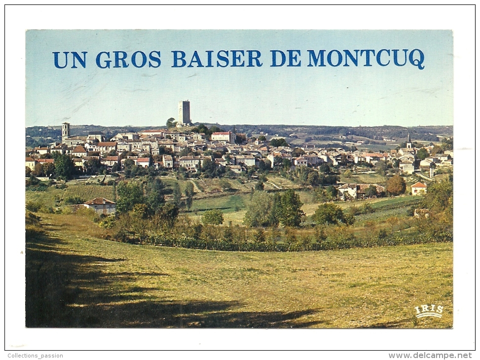 Cp, 46, Montcuq, Vue Générale - Montcuq