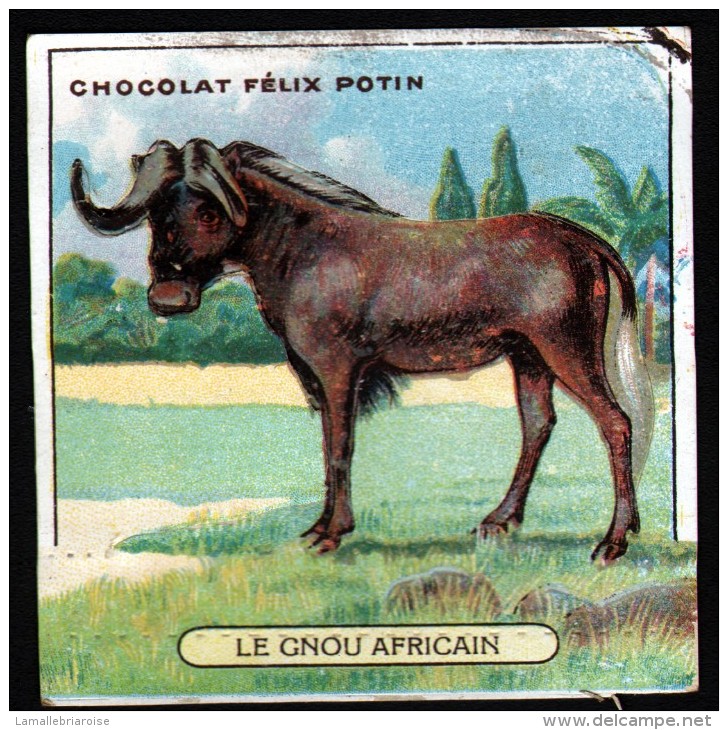 CHROMO FELIX POTIN - N°6 LE GNOU AFRICAIN - Félix Potin