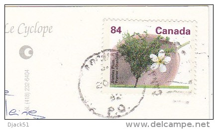 Timbre / Stamp / CANADA / Collés Sur Carte Postale : Tadoussac - 1953-.... Règne D'Elizabeth II