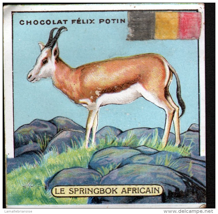 CHROMO FELIX POTIN - N°8 LE SPRINGBOK AFRICAIN - Félix Potin