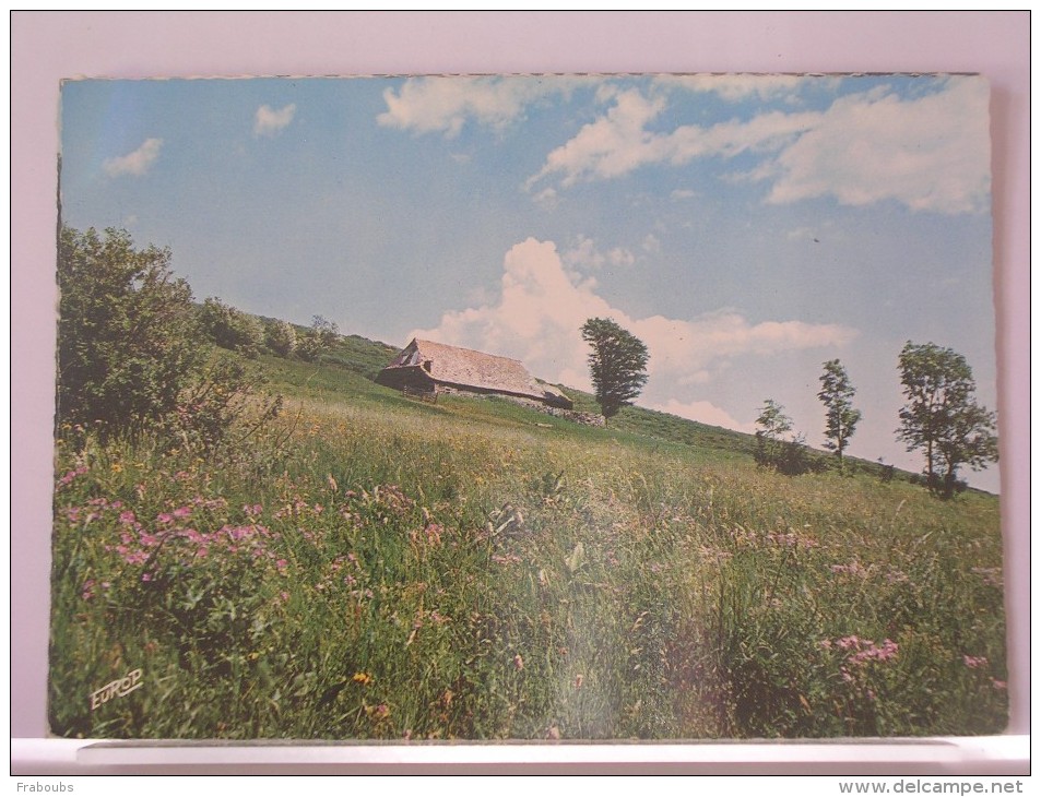 BURON EN HAUTE AUVERGNE - Auvergne