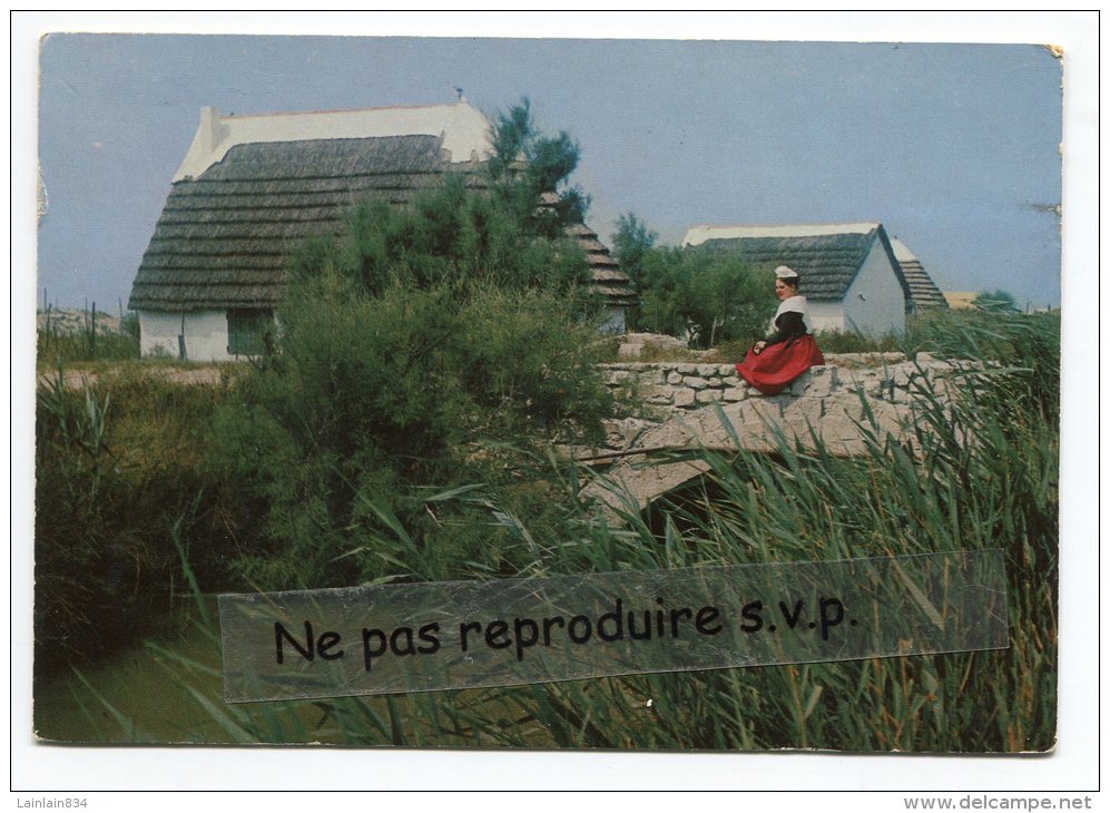 - 3096 - Mireille Auprès De Sa Cabane, La Camargue, Grand  Format, Non écrite, Glacée, BE, Scans. - Saintes Maries De La Mer