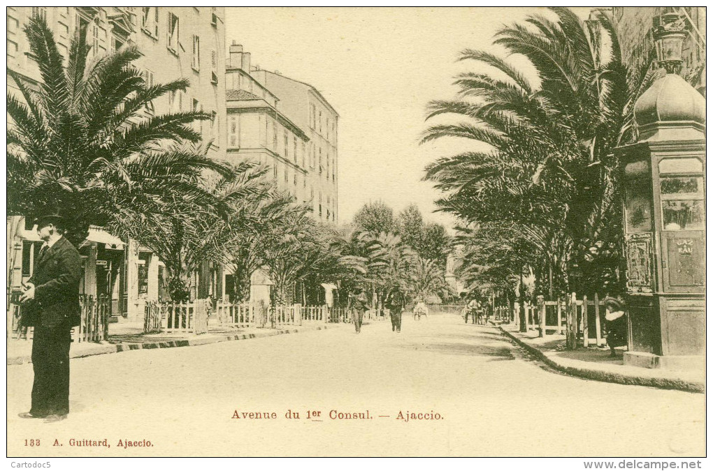 Ajaccio  Avenue Du 1er Consul   Cpa - Ajaccio