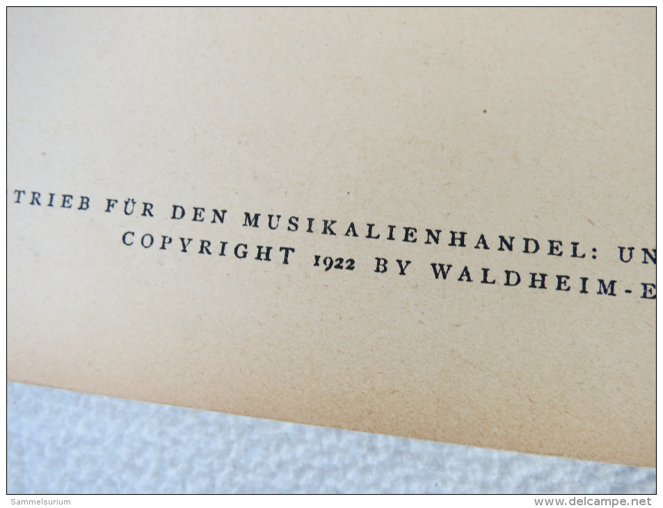 Joseph Marx "Meister-Lieder" Eine Auswahl Klassischer Und Moderner Lieder (Noten) Wien 1922 - Music