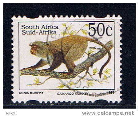 RSA Südafrika 1993 Mi 897 IIAS Meerkatze - Oblitérés