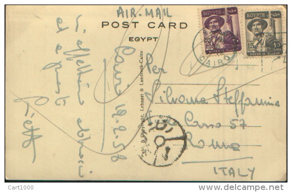 EGYPT DEFENSE 1958 ON CARD CAIRO - Storia Postale