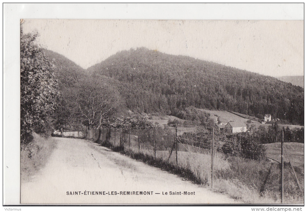 SAINT-ETIENNE-LES-REMIREMONT -- Le  Saint -Mont - Saint Etienne De Remiremont