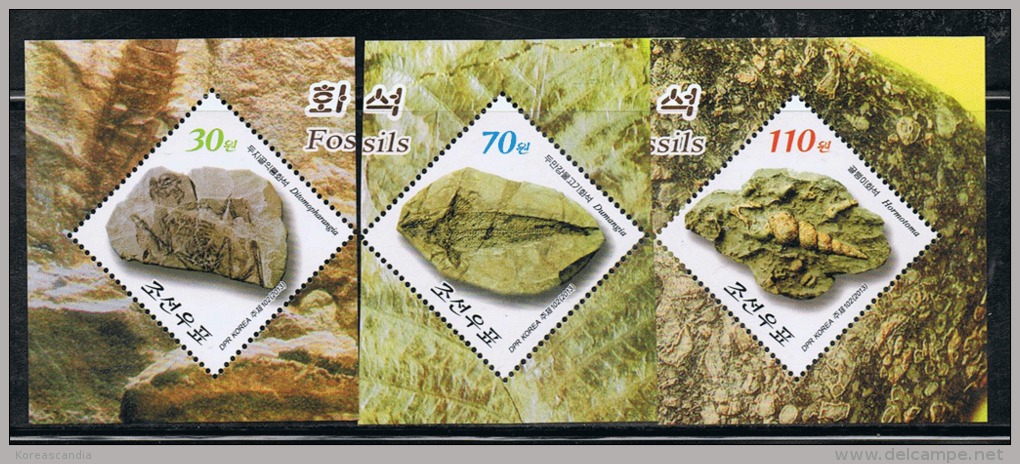 NORTH KOREA 2013 FOSSILS STAMP SET - Fossili