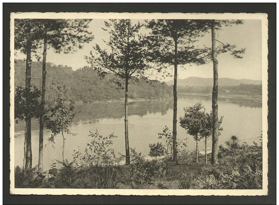 Italia - Lago - Pioppi - Bosco - Formato Grande - To Identify