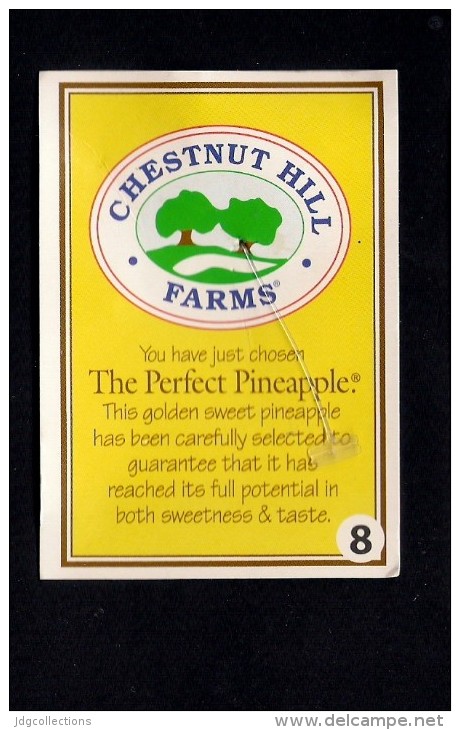 # PINEAPPLE CHESTNUT HILL FARMS Type 1 Size 8 Fruit Tag Balise Etiqueta Anhanger Costa Rica Ananas Pina - Fruits & Vegetables