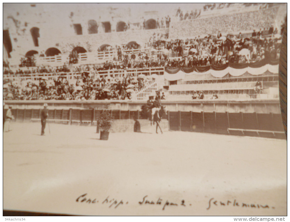 Lot De 8 Photos Ancienne  11 X 8,5 1897. Concours Hippique De Nîmes Dans Les Arènes. Rare!!! - Sports