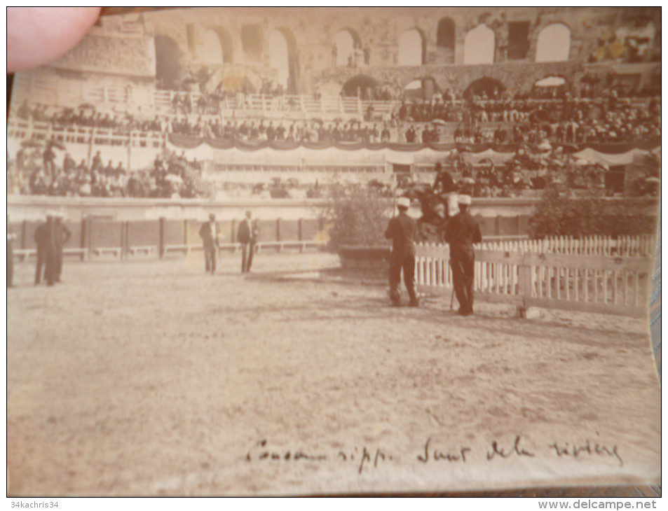 Lot De 8 Photos Ancienne  11 X 8,5 1897. Concours Hippique De Nîmes Dans Les Arènes. Rare!!! - Sports