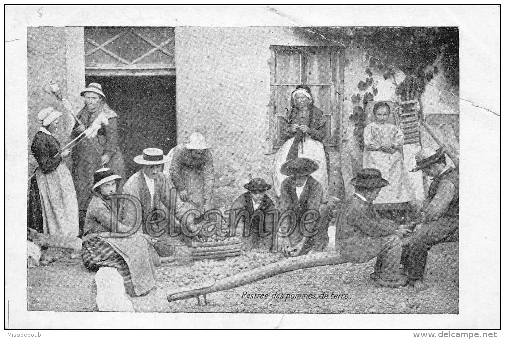 Rentrée Des Pommes De Terre - Paysants Femmmes Et Enfants - Tricot, Fileuses De Laine, Dept 76 ? - Cultures