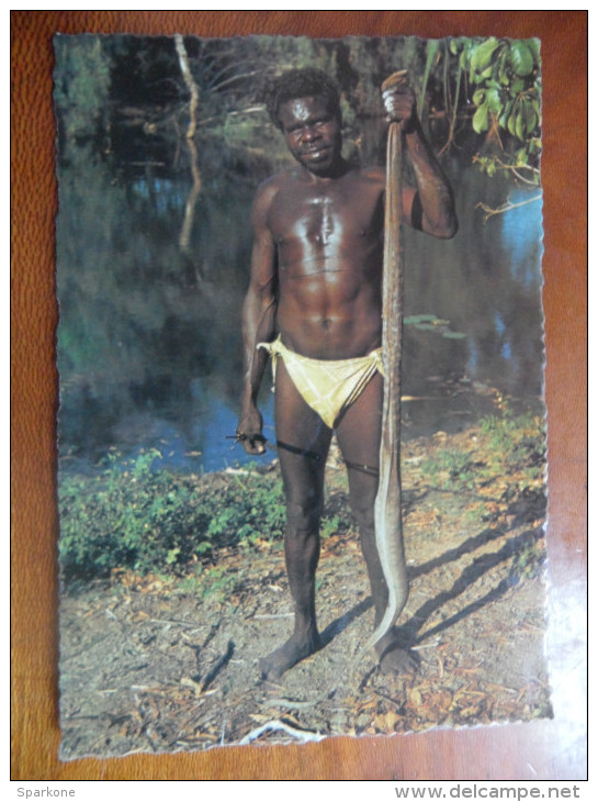 Australian Aborigines. A Tribal Huntsman Returns With A Python For A Meal - Aborigines