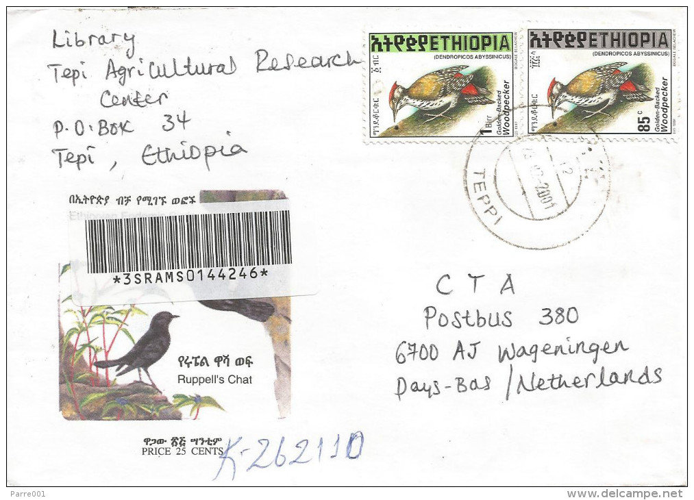 Ethiopia 2001 Teppi T2 Woodpecker Barcoded Registered Cover Via Jimma J4 - Ethiopie